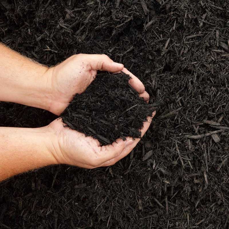 Hands holding dark bark mulch